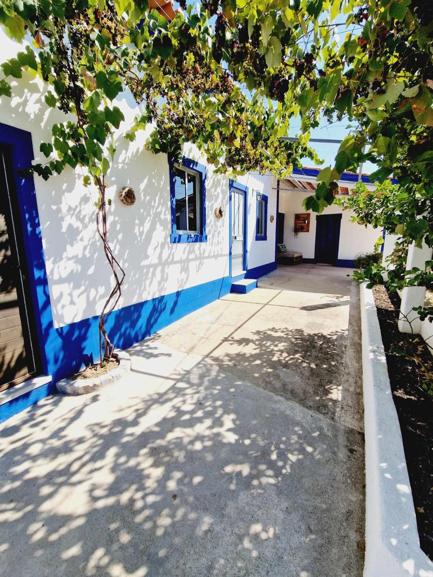 Casa Dos Martelitos Villa Salgueira  Eksteriør billede